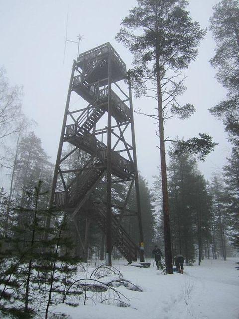 419344 10150608978264541 730079540 9022028 1542418330 n