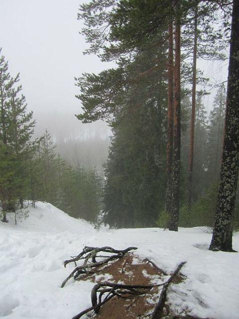 422461 10150608977974541 730079540 9022025 532967407 n