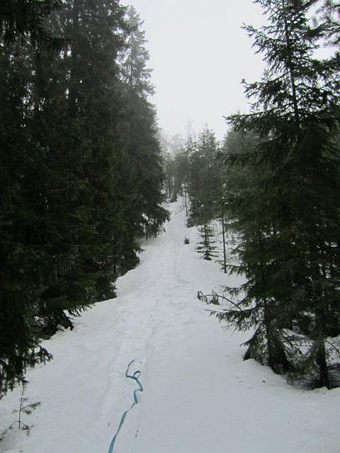 429658 10150608977719541 730079540 9022021 295467720 n