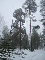 419344 10150608978264541 730079540 9022028 1542418330 n