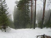 425884 10150608978114541 730079540 9022026 522024481 n