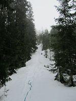 429658 10150608977719541 730079540 9022021 295467720 n